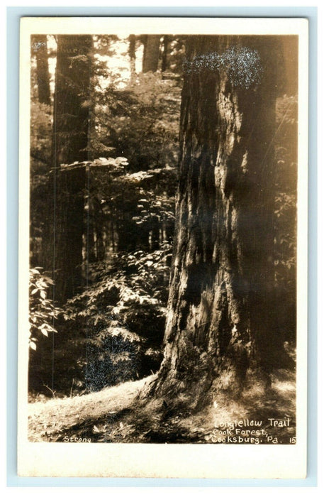 c1910 Longfellow Trail Cook Forest Cooksburg Pennsylvania PA RPPC Photo Postcard