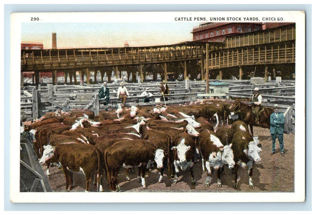 c1920s Cattle Pens, Union Stock Yards, Chicago Illinois IL Posted Postcard