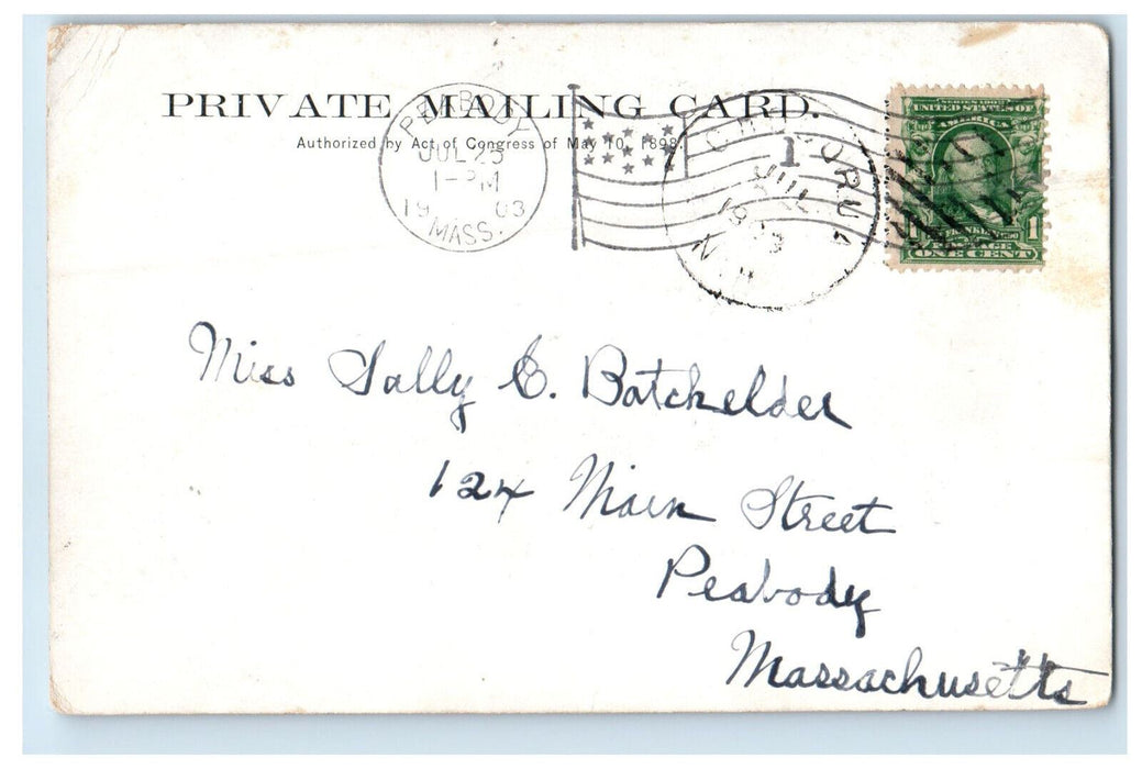1903 The Narrows Bridge Lake Chocorua New Hampshire NH Posted PMC Postcard
