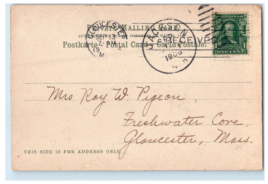 1906 Greenery Scene, Carters Notch Jackson New Hampshire NH Posted PMC Postcard