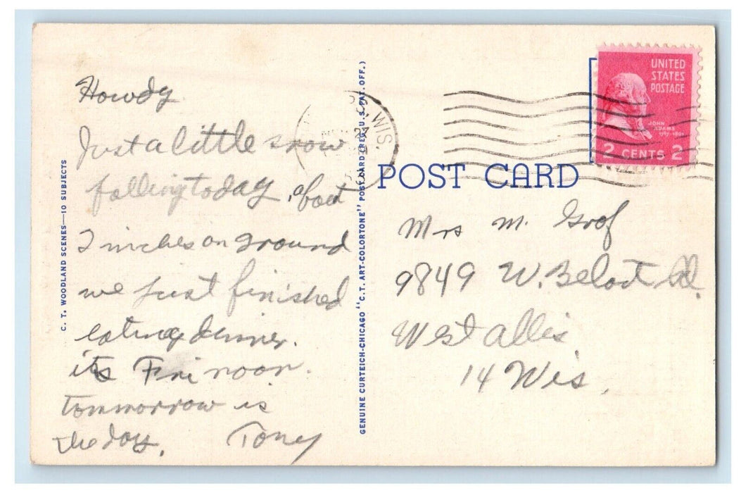 1939 Greetings From Phillips Wisconsin WI, Trees View Vintage Postcard