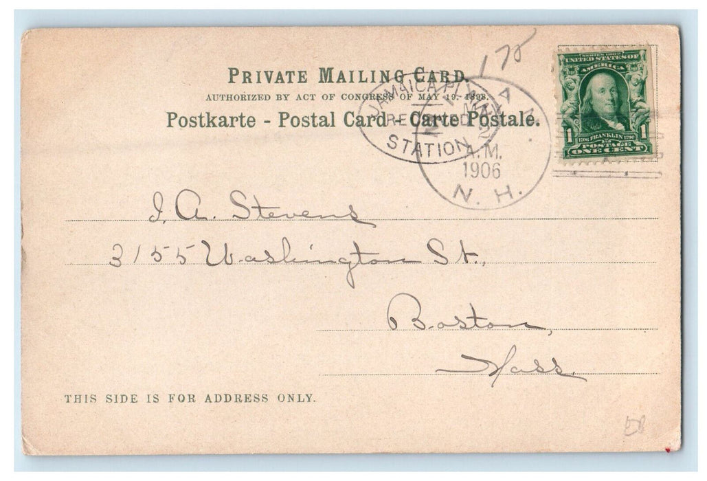 1906 Cathedral Woods, Interville New Hampshire NH Milan NH PMC Postcard