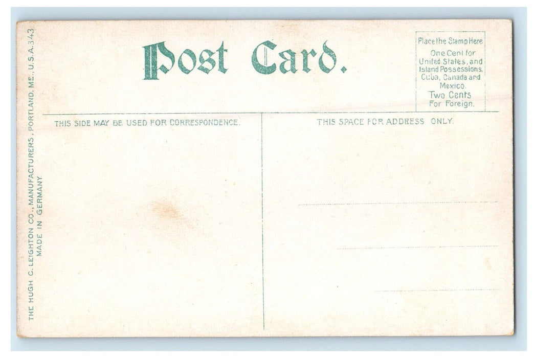 c1910s City Hall Greetings from Albany New York NY Unposted Postcard