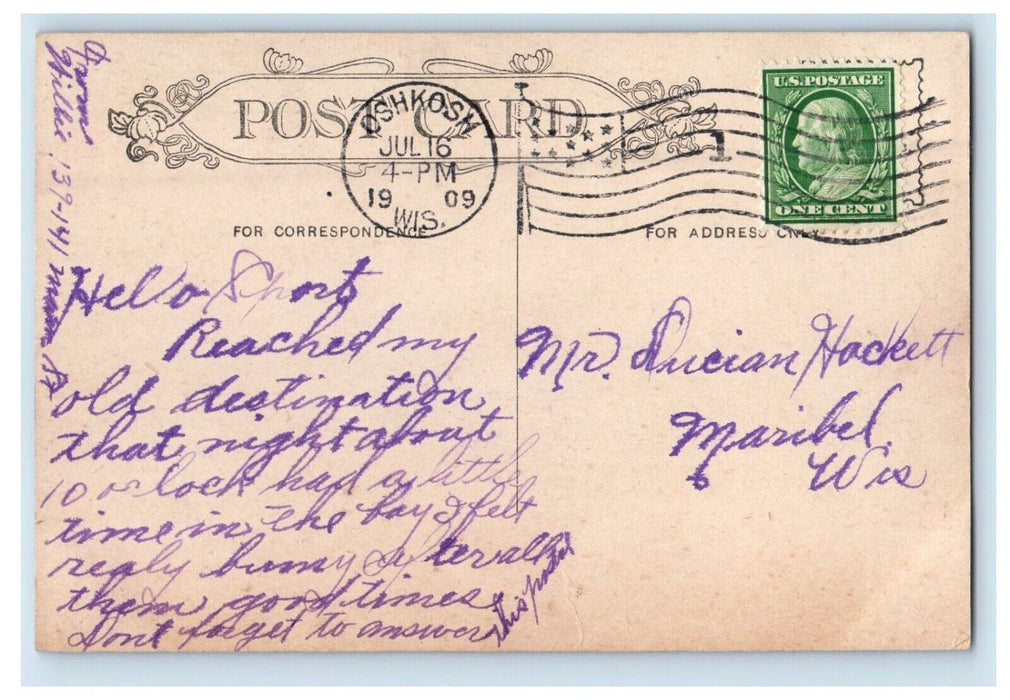 1909 Racoon Zoo Northern Hospital Park Oshkosh Wisconsin WI Antique Postcard