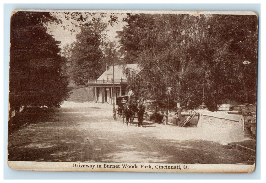 1913 Driveway in Burnet Woods Park Cincinnati Ohio OH Antique Posted Postcard