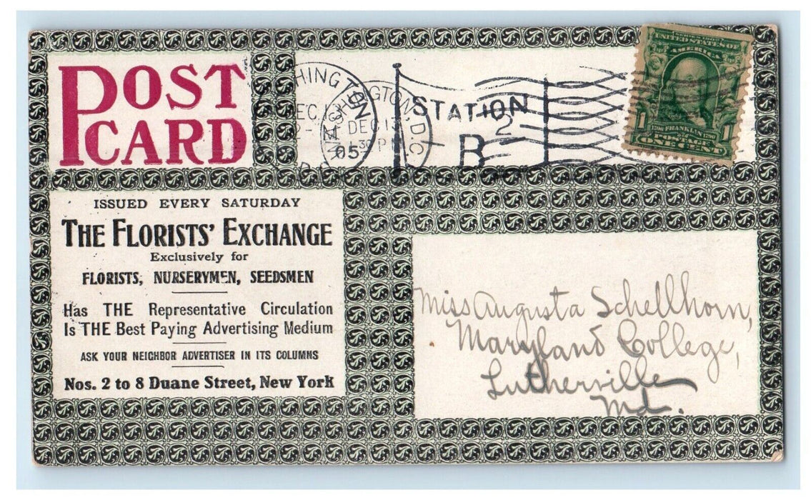 Avenue In Botanic Gardens Washington D.C Dome Of Capitol Advertising Postcard