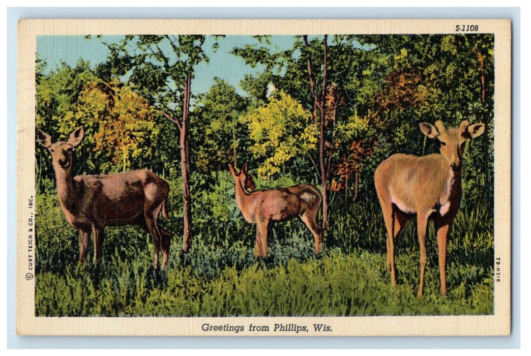 1953 Greetings Phillips Wisconsin WI, Three Deers Posted Vintage Postcard