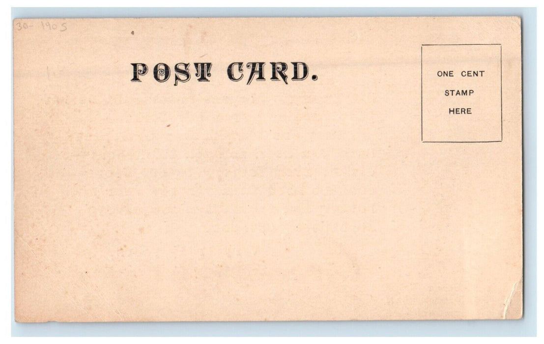New Spring Hat Salesman In America New York NY Advertising Postcard