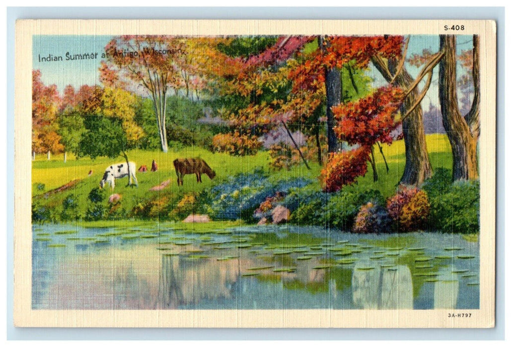 c1940's Indian Summer River Animals And Tress At Antigo Wisconsin WI Postcard