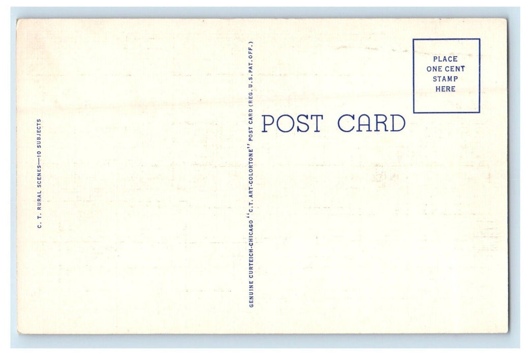 c1940's Indian Summer River Animals And Tress At Antigo Wisconsin WI Postcard