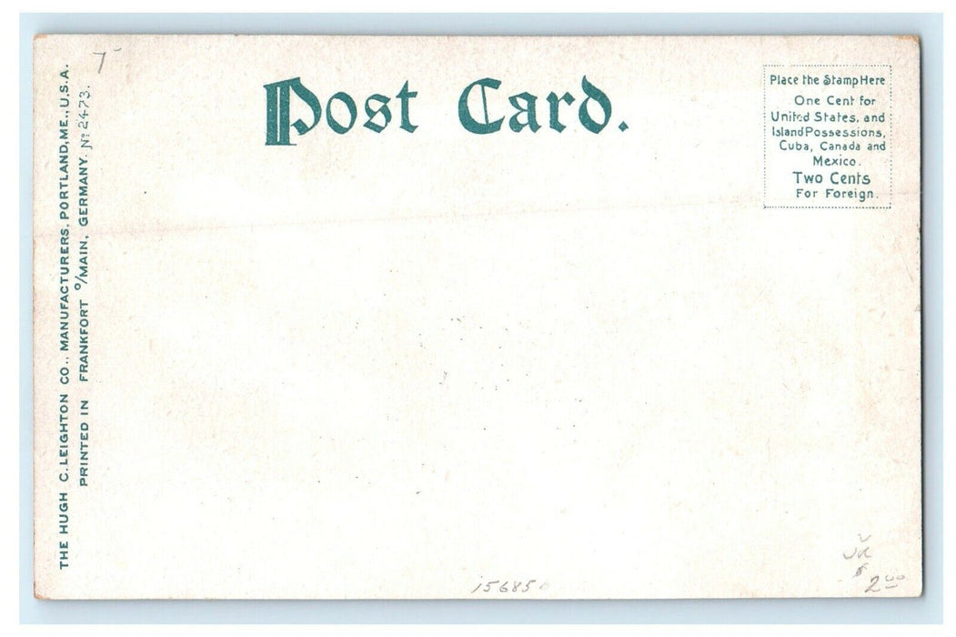 c1905 North End From Prospect St. House Village Lee Massachusetts MA Postcard