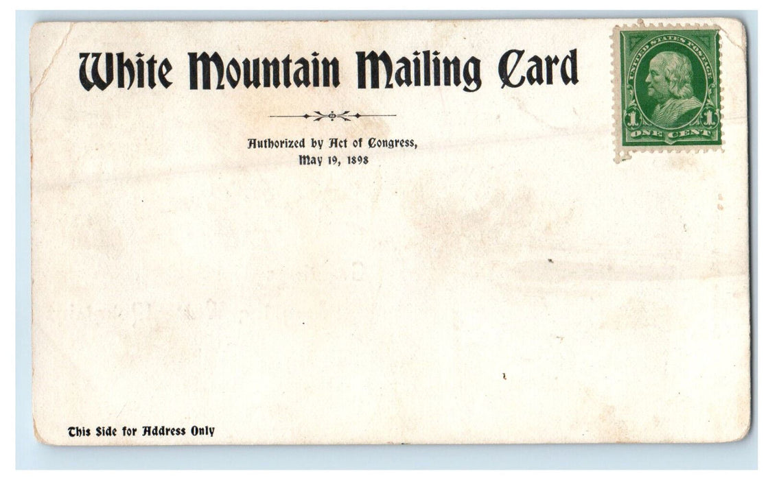 c1900s Greetings from the White Mountains Unposted Antique WMMC Postcard