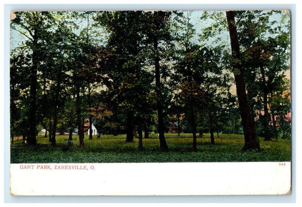 c1905s Gant Park Zanesville Ohio OH Unposted Antique Postcard