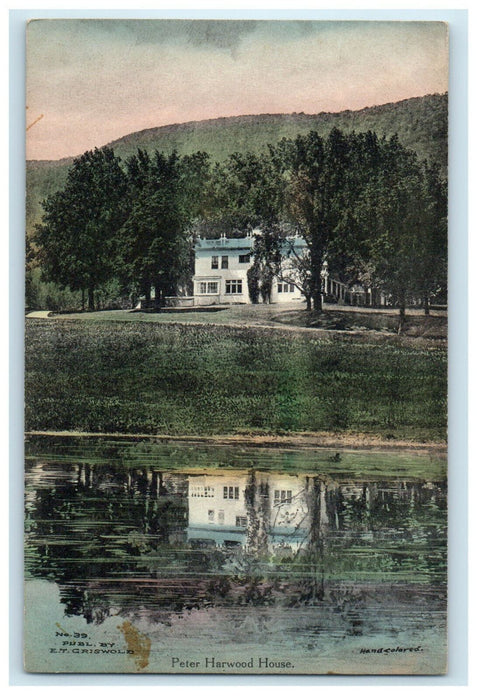 c1910s Handcolored Peter Bennington Vermont VT Unposted Antique Postcard