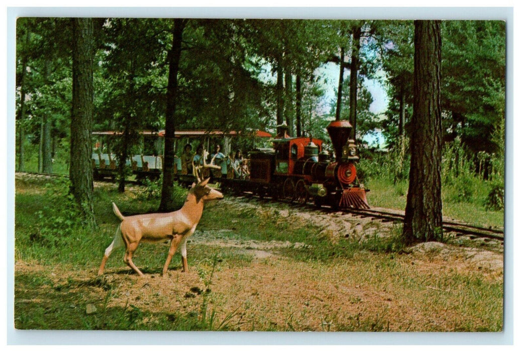 Amigoland  Pedro's New Fun Park Railroad Train South Border SC Postcard