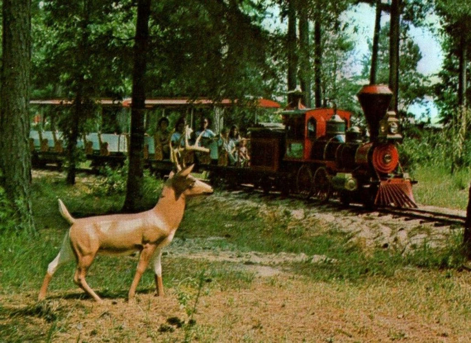 Amigoland  Pedro's New Fun Park Railroad Train South Border SC Postcard