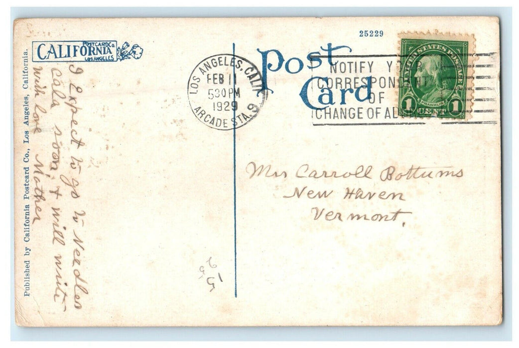 1929 The Boardwalk To Hotel St. Catherine Avalon Catalina Island CA Postcard