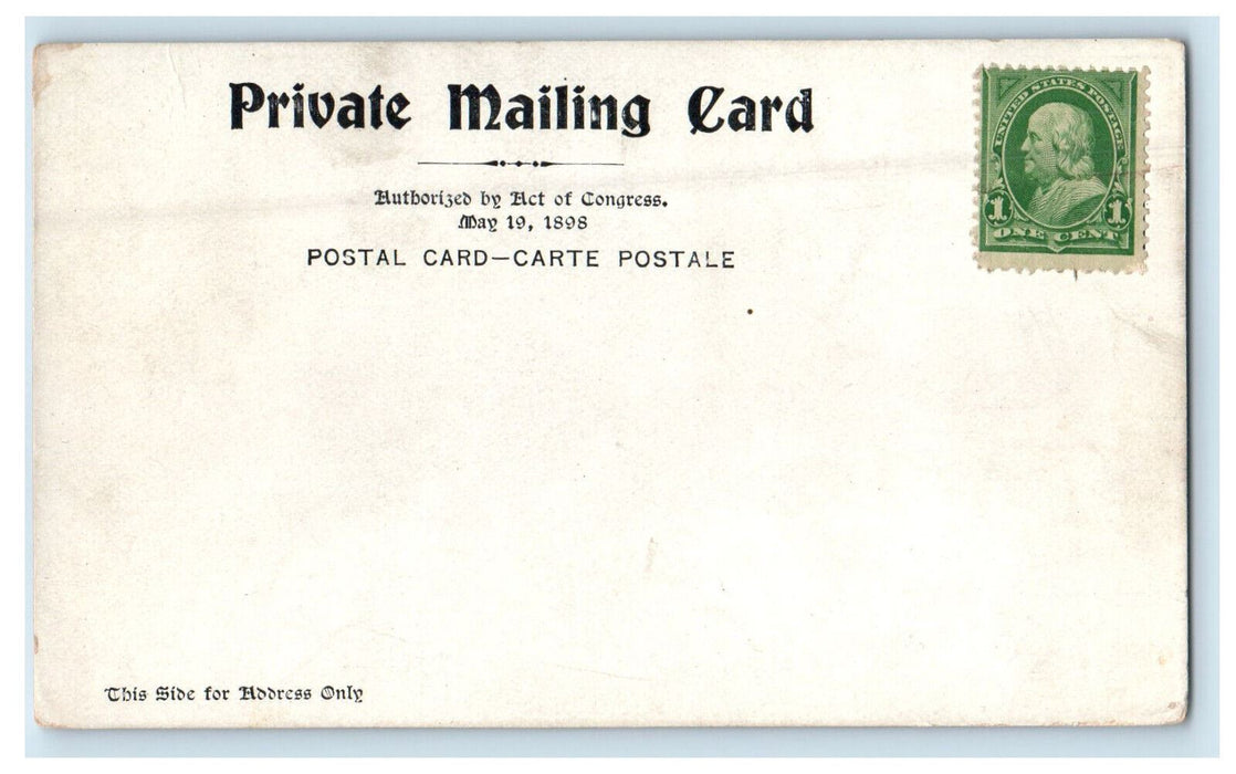 c1900s Mt. Washington Railroad Greetings from the White Mountains PMC Postcard