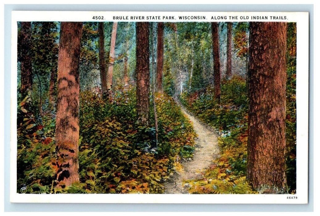 Brule Rivers State Park Wisconsin, Along The Old Indian Trails Antique Postcard