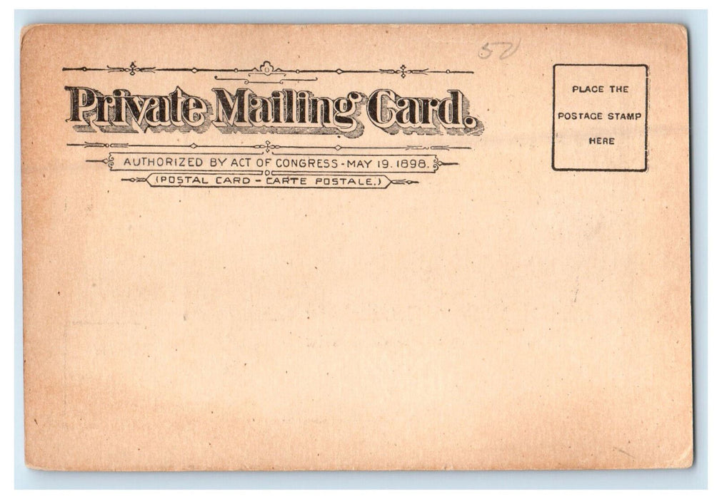 c1900s Deerfield River, Charlemont Massachusetts MA PMC Unposted Postcard