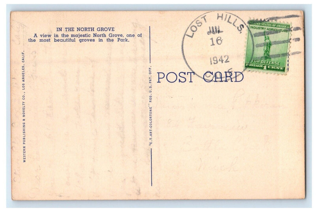 1942 General Grant National Park California CA, In The North Grove Postcard
