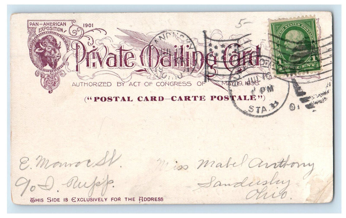 1901 Main Street, Looking North Buffalo New York NY Antique Posted PMC Postcard