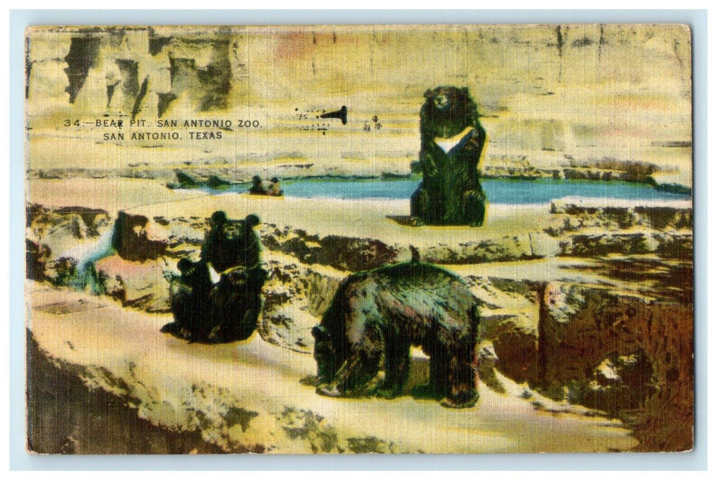 1951 Bear Pit. San Antonio Zoo San Antonio Texas TX Posted Vintage Postcard