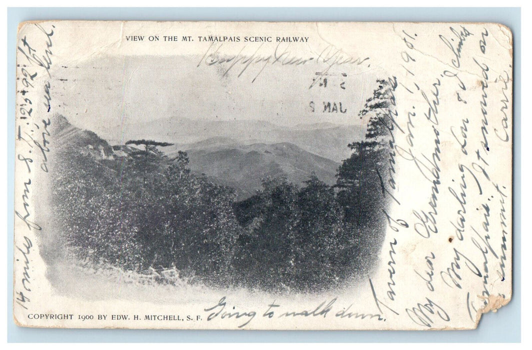 1901 View on Mt. Tamalpais Scenic Railway California CA PMC Antique Postcard