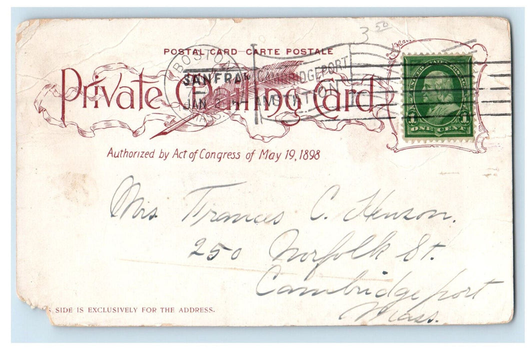 1901 View on Mt. Tamalpais Scenic Railway California CA PMC Antique Postcard