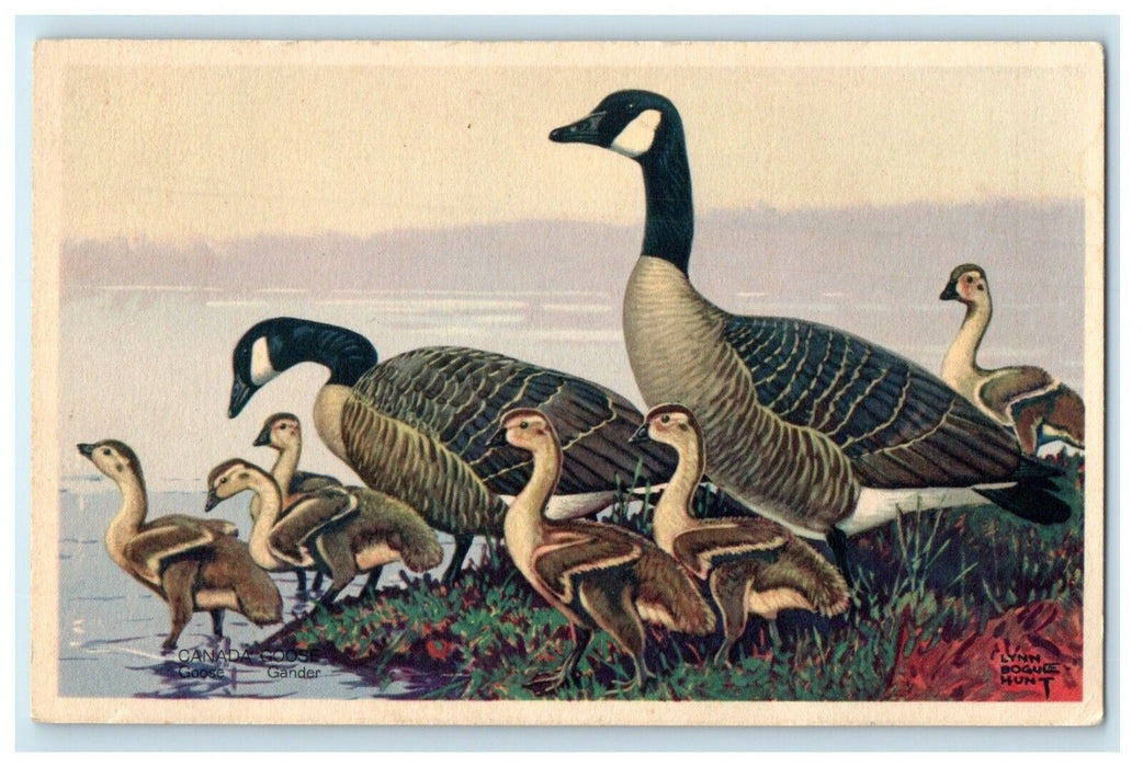 1946 Canada Goose Lynn Bogue Hunt East Wallingford Vermont VT Postcard