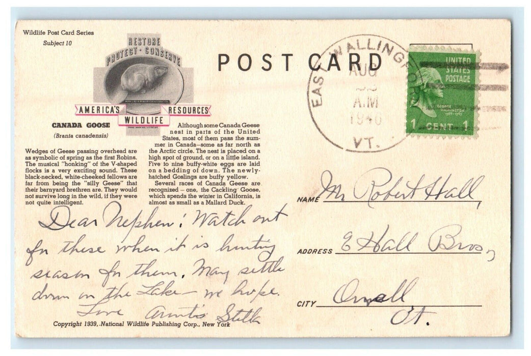 1946 Canada Goose Lynn Bogue Hunt East Wallingford Vermont VT Postcard