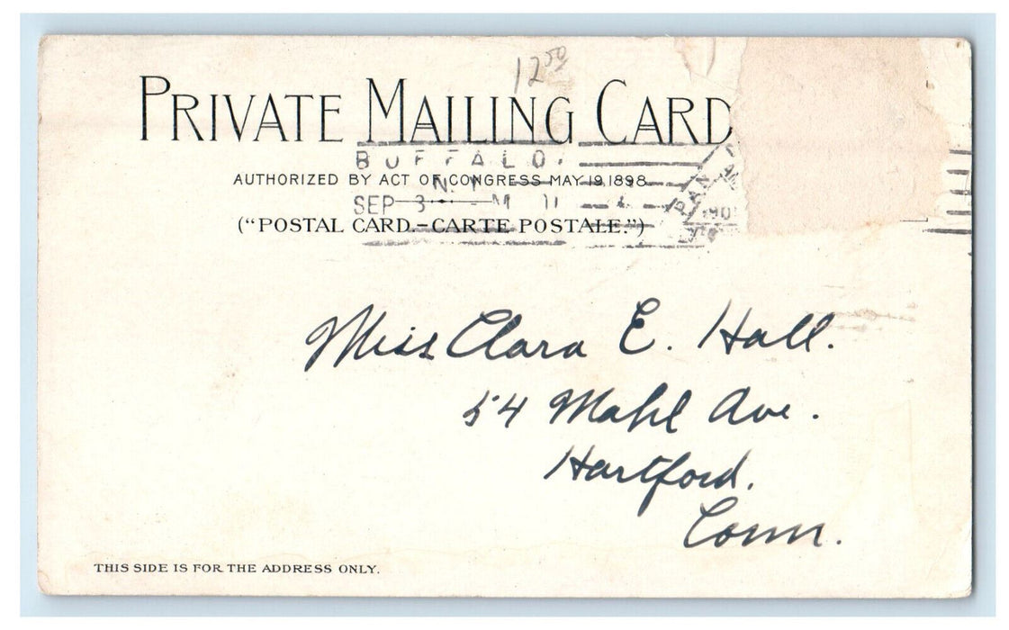1901 Electric Tower, Buffalo NY Official Souvenir Mailing Card PMC Postcard