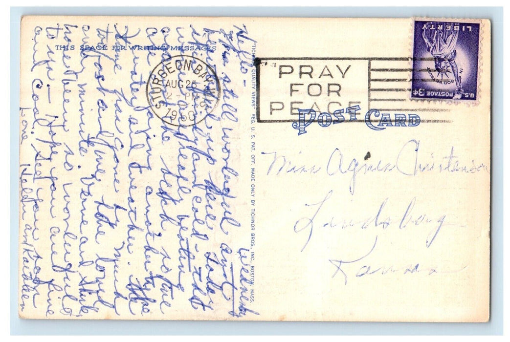 1960 Greetings From Sister Bay Wisconsin WI, Road And Trees Vintage Postcard