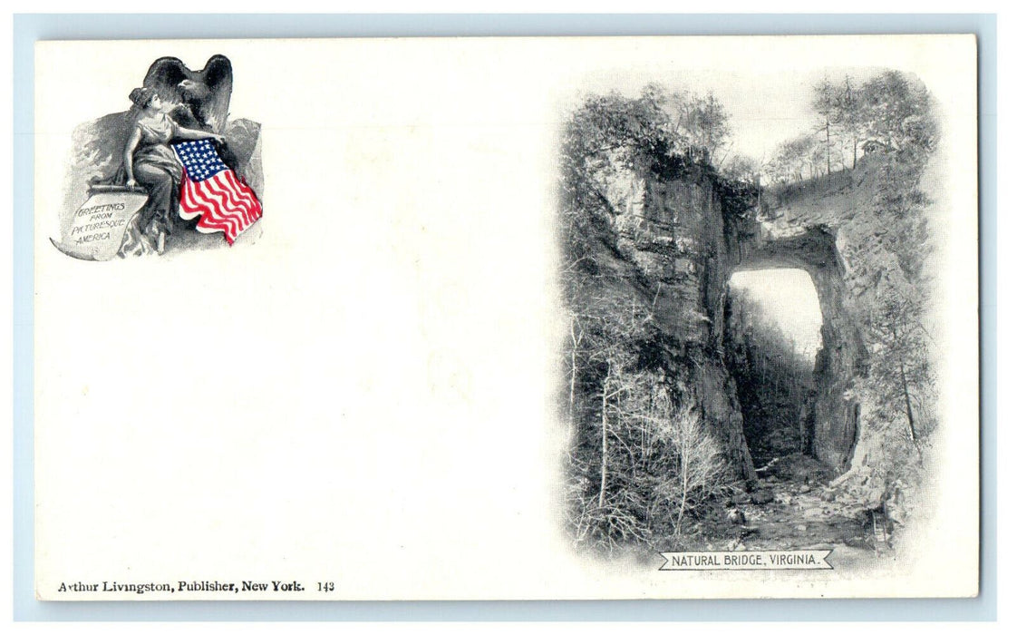 c1905s Natural Bridge, Rockbridge County Virginia Antique Unposted Postcard