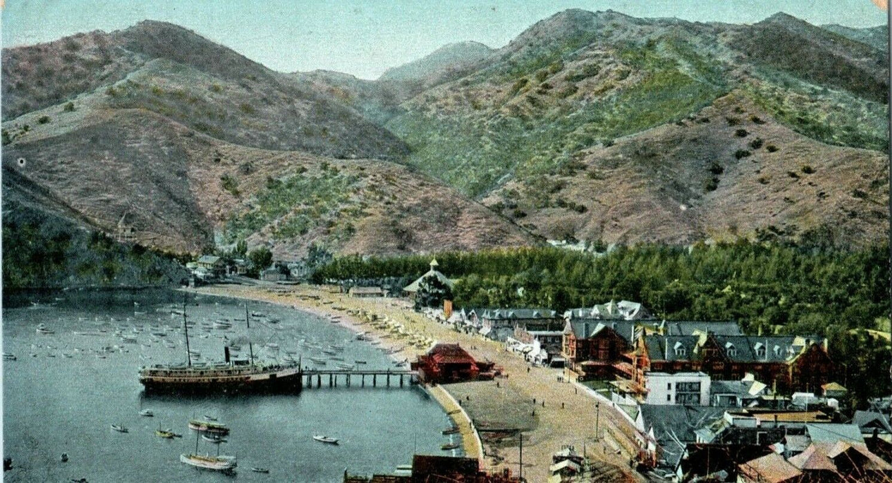 c1905 Avalon Port Catalina Island California CA Unposted Antique Postcard