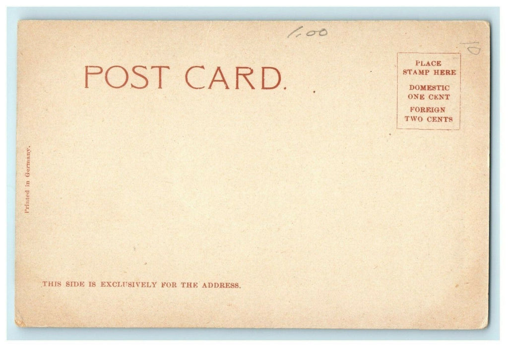 c1905 Avalon Port Catalina Island California CA Unposted Antique Postcard