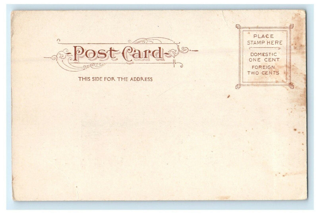 c1905 State House And Park Boston Massachusetts MA Antique Postcard