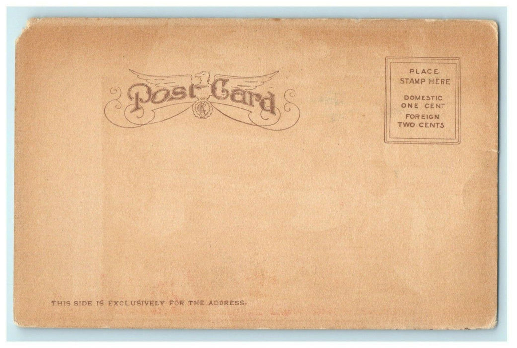 c1905 Giant 384 Pound Fish Fisherman Catalina Island California CA Postcard