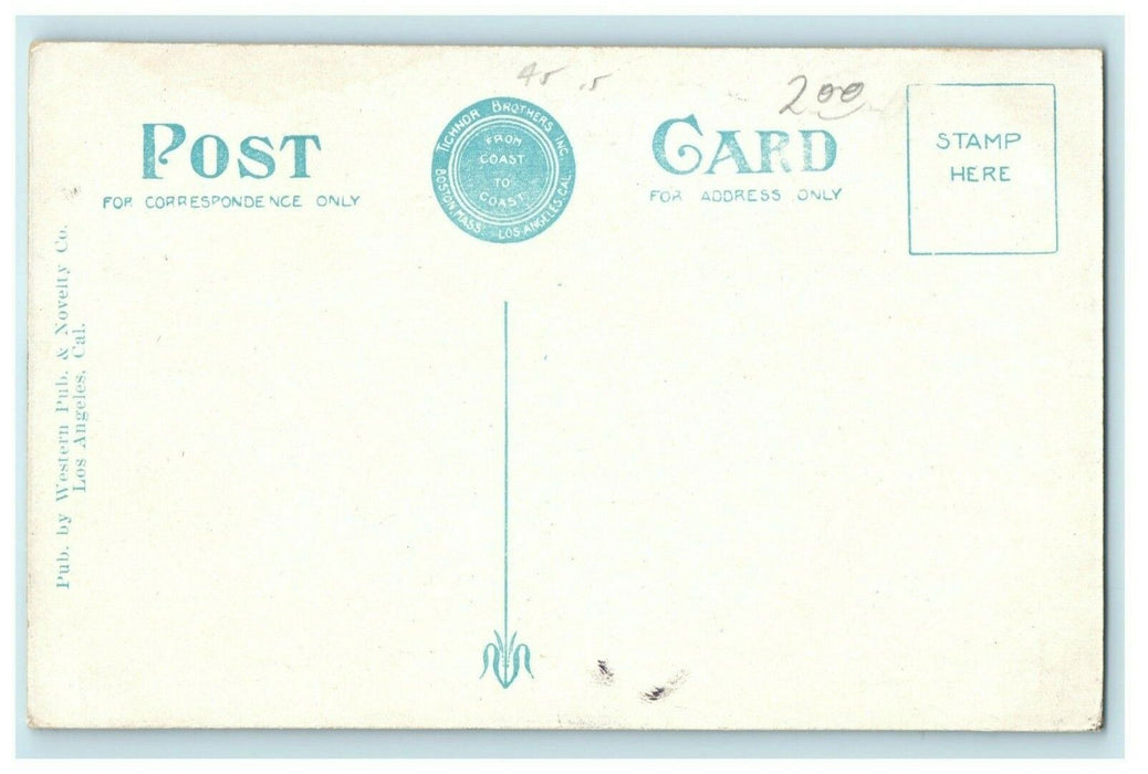 c1910 Daisy Ave. Long Beach School California CA Antique Postcard