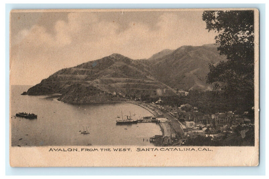 c1905 Avalon From West Catalina Island California CA Posted Antique Postcard