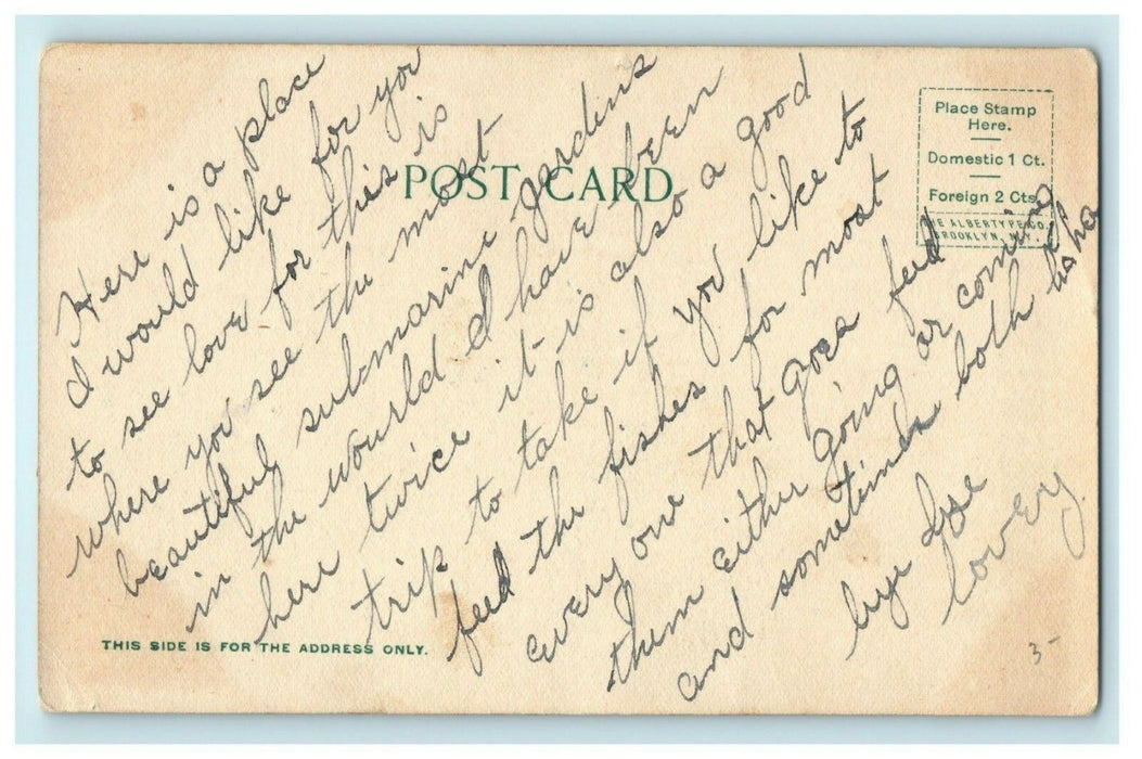c1905 Avalon From West Catalina Island California CA Posted Antique Postcard