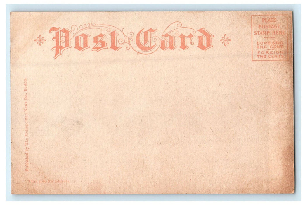 1906 Panorama of Public Garden, Boston Massachusetts MA Unposted Postcard