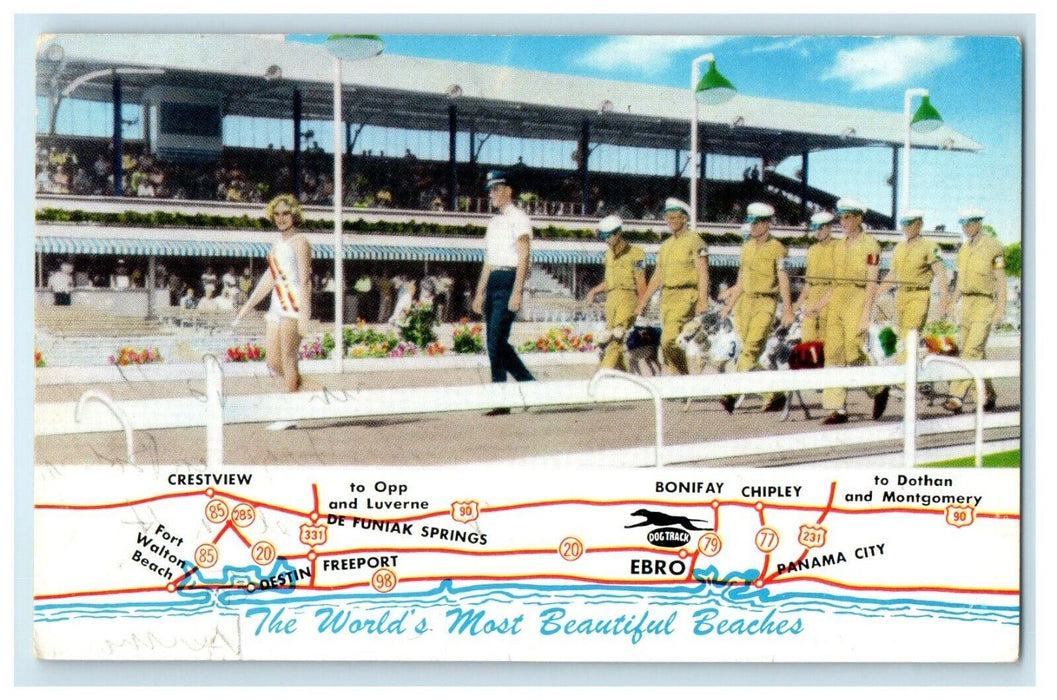 1960 Washington County Kennel Club Greyhound Dog Race Ebro Florida FL Postcard