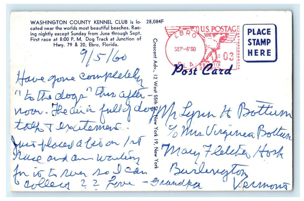 1960 Washington County Kennel Club Greyhound Dog Race Ebro Florida FL Postcard