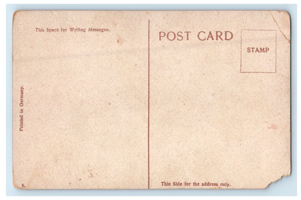 c1910's Old Davenport Home Government Island Davenport Iowa IA Antique Postcard