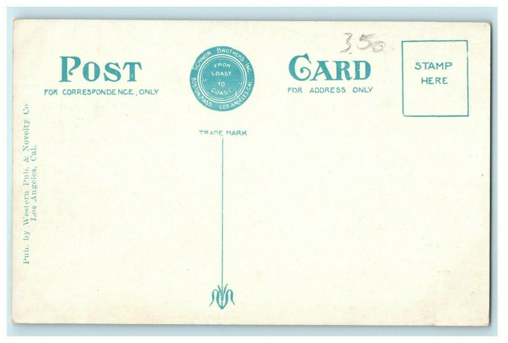 Carroll Park School Long Beach California CA Antique Postcard