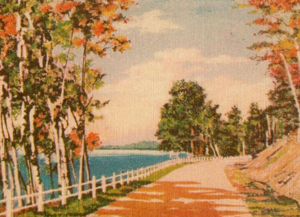 1946 Greetings From McConnellsburg Pennsylvania PA Vintage Postcard