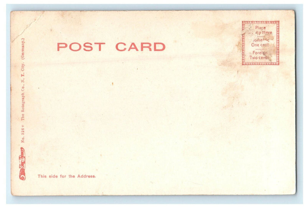 c1905s Tree Views in A Trail Palm Beach Florida FL Antique Unposted Postcard