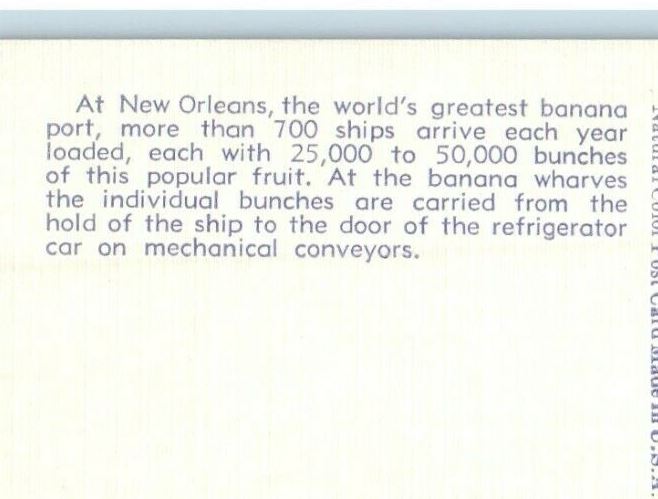 c1940's Unloading Bananas Conveyors New Orleans Louisiana LA Vintage Postcard