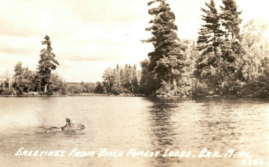 c1930's Greetings From Birch Forest Lodge Orr Minnesota MN RPPC Photo Postcard